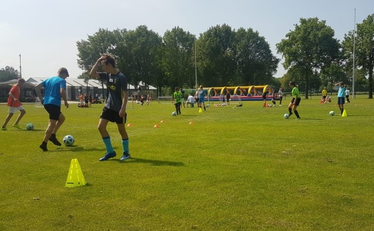 Training als een prof